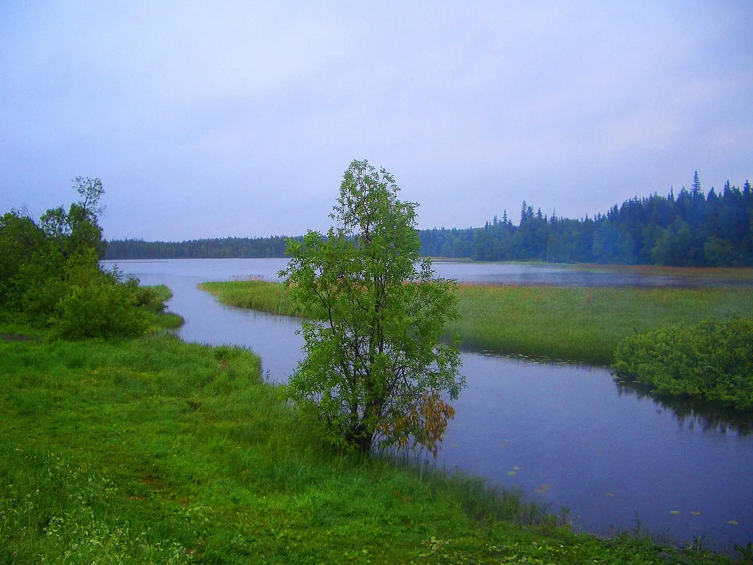 Пинега - panoramio