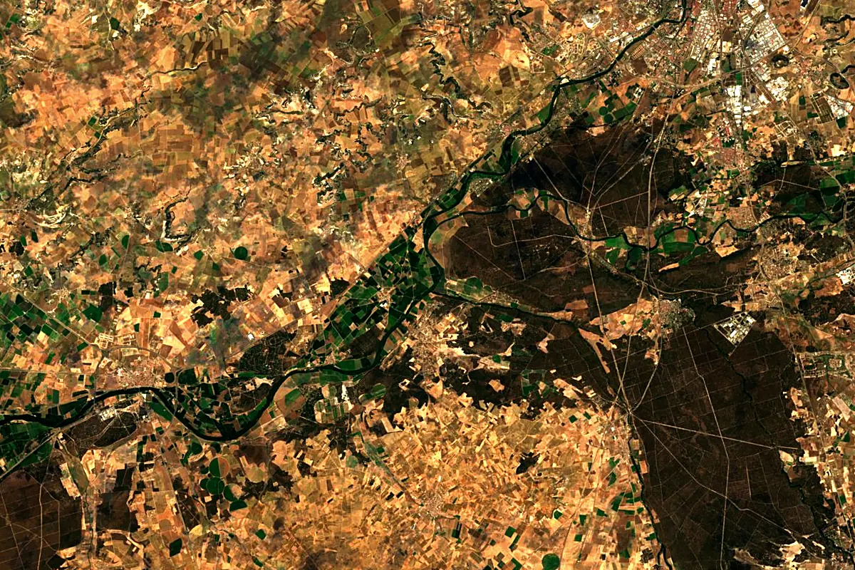 Pisuerga River: satellite view of the mouth
