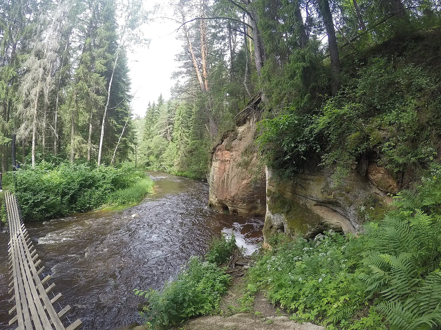 Wooden bridge over Piusa River