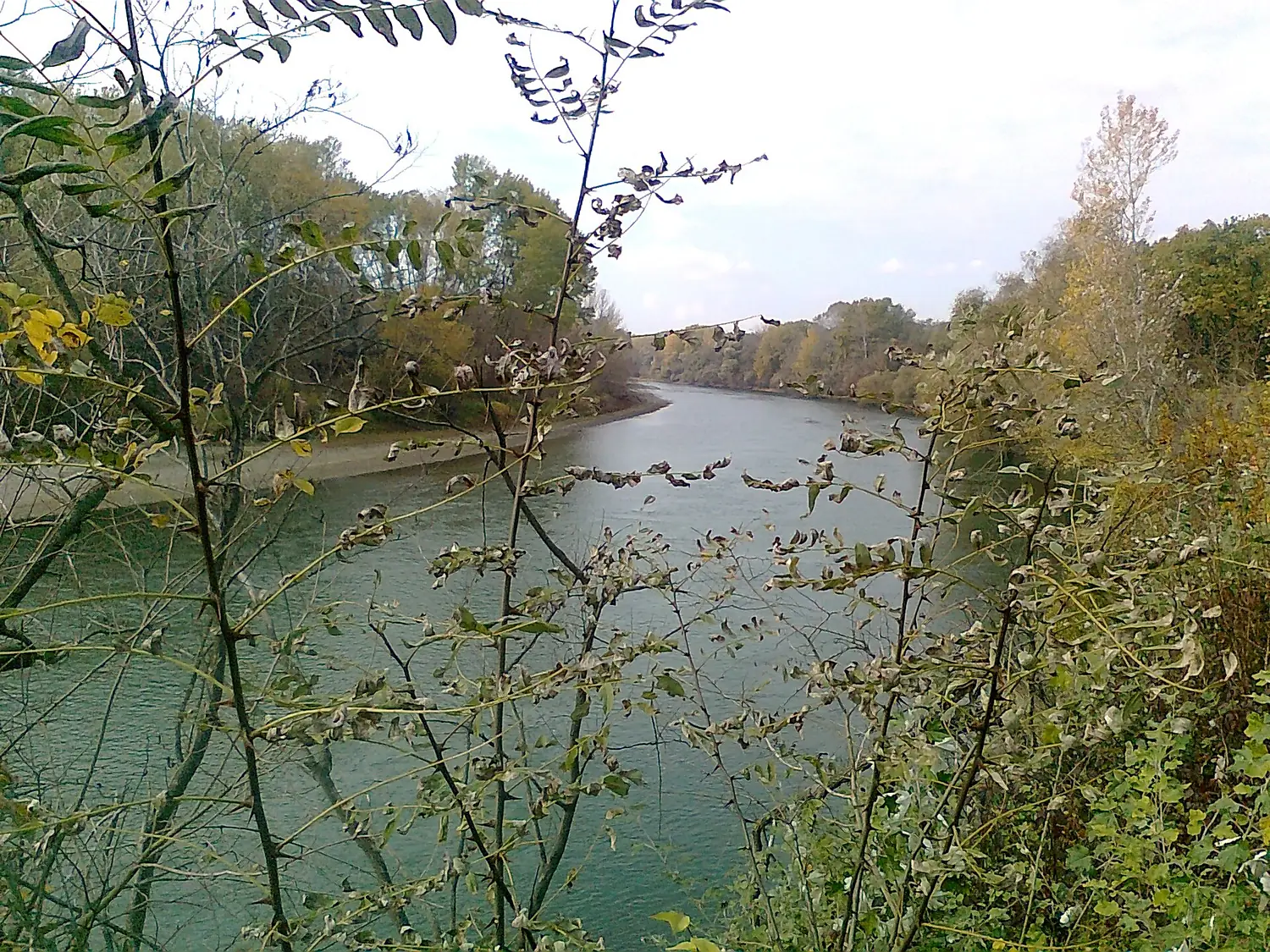 Prut River im. 1499