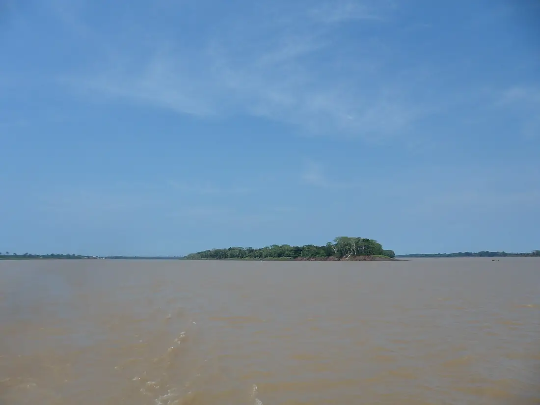 Rio purus - panoramio