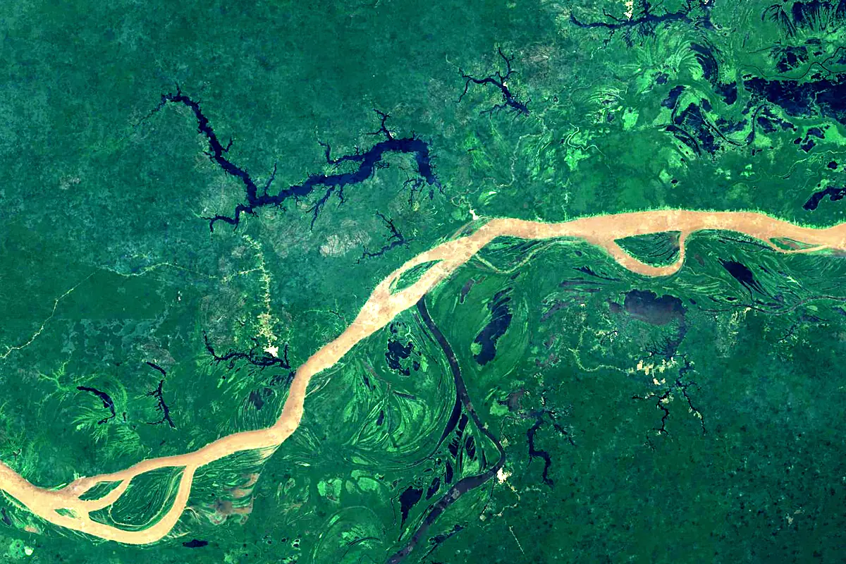 Purus River: satellite view of the mouth