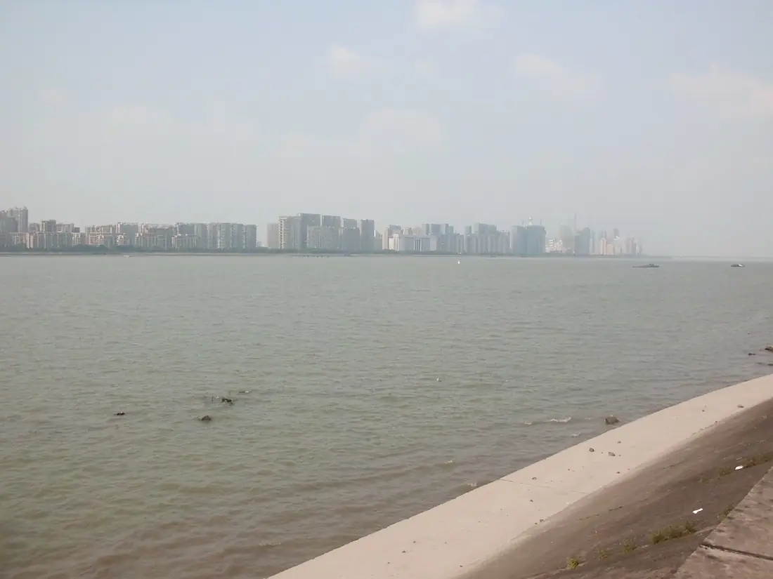 Binjiang District 14