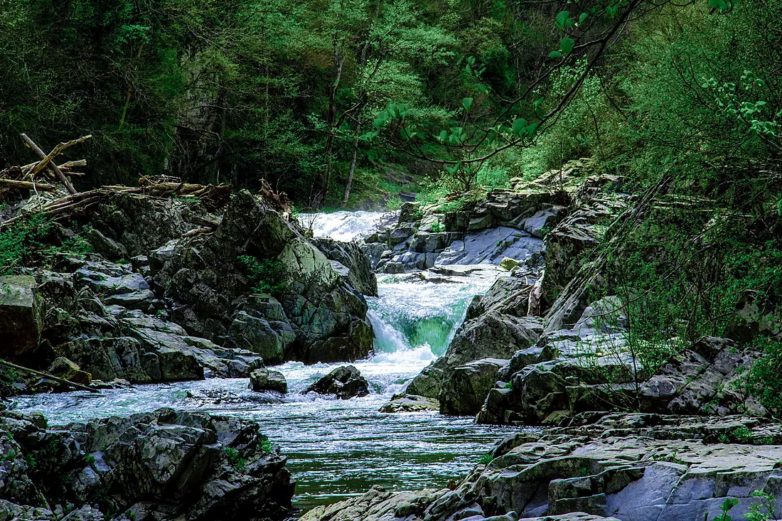 Landscape of Rezovo River 2