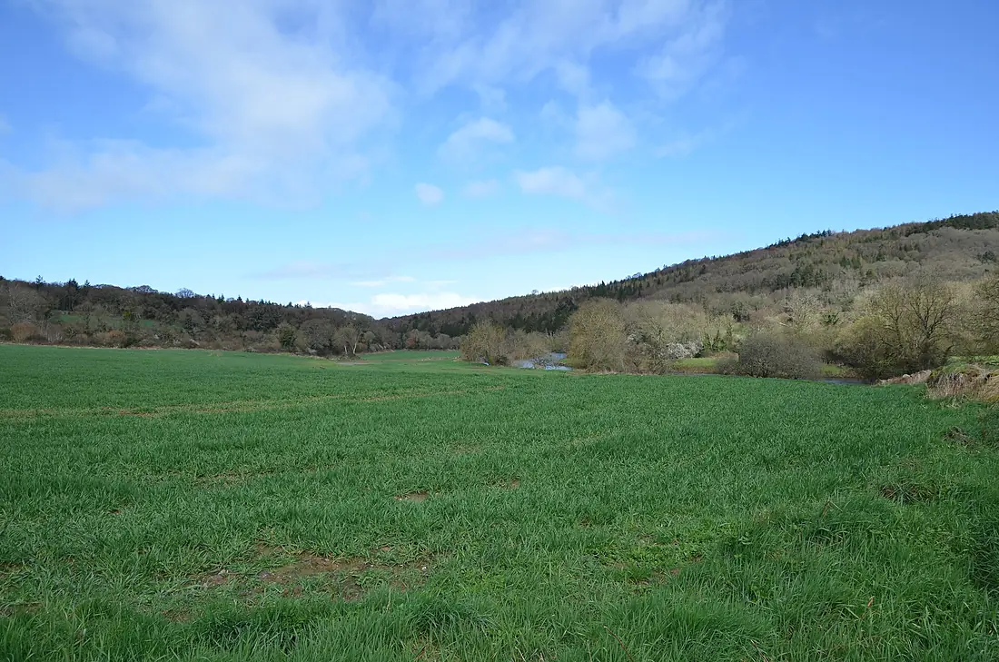 Dysart Castle view towards Nore upstream