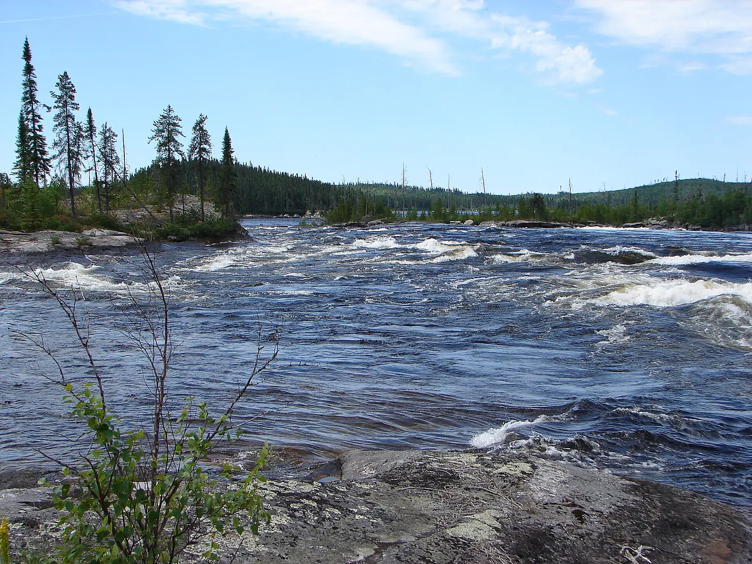 Rupert North Road 2