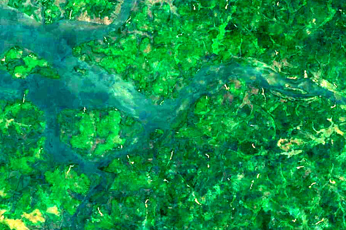Rokel River: satellite view of the mouth