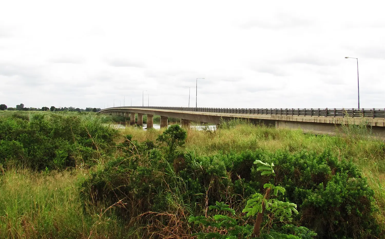 Mkapa Bridge, Rufiji