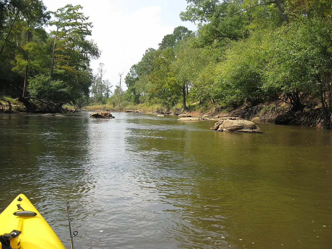 Sabine River between HWY 59 and FM 1794 - panoramio