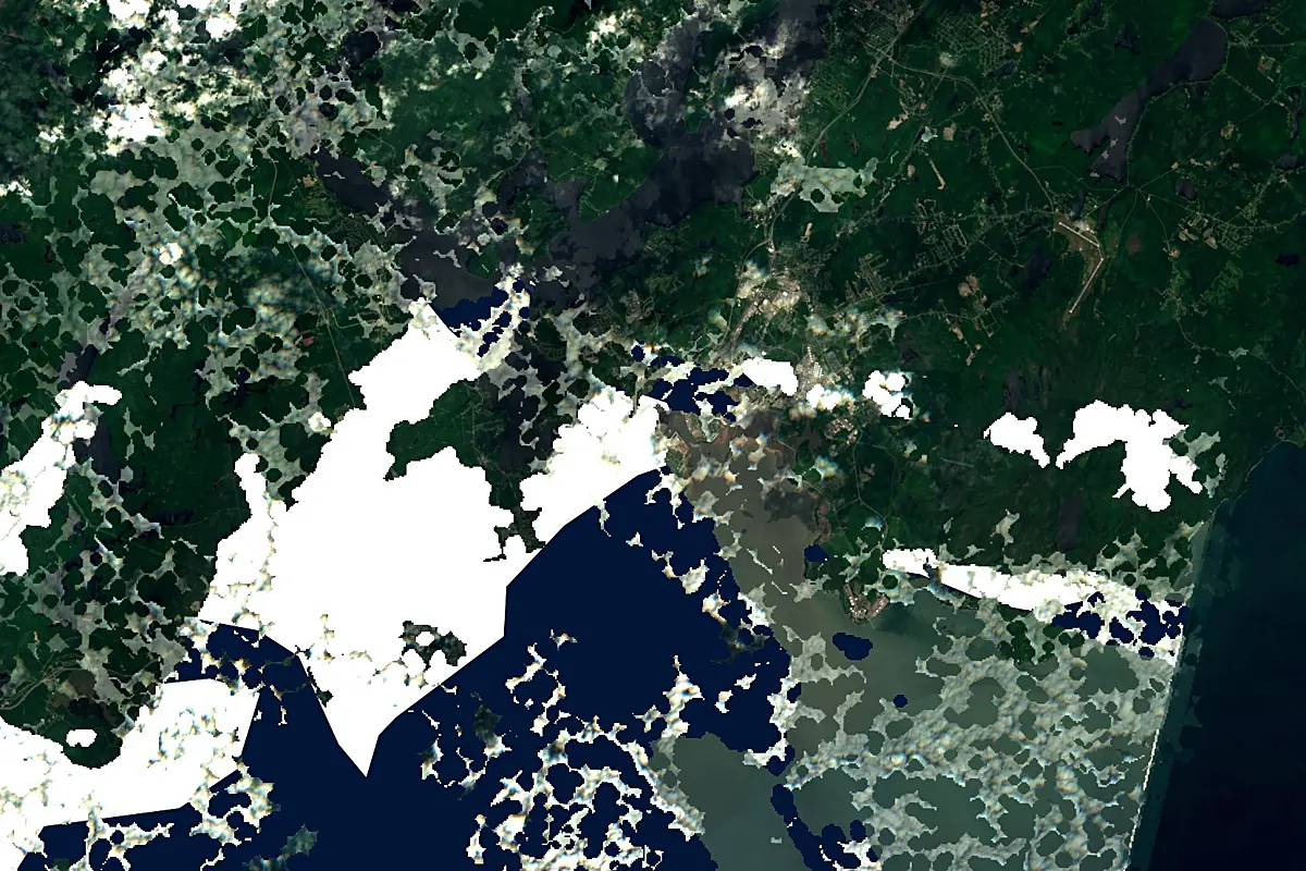 Saint John River: satellite view of the mouth