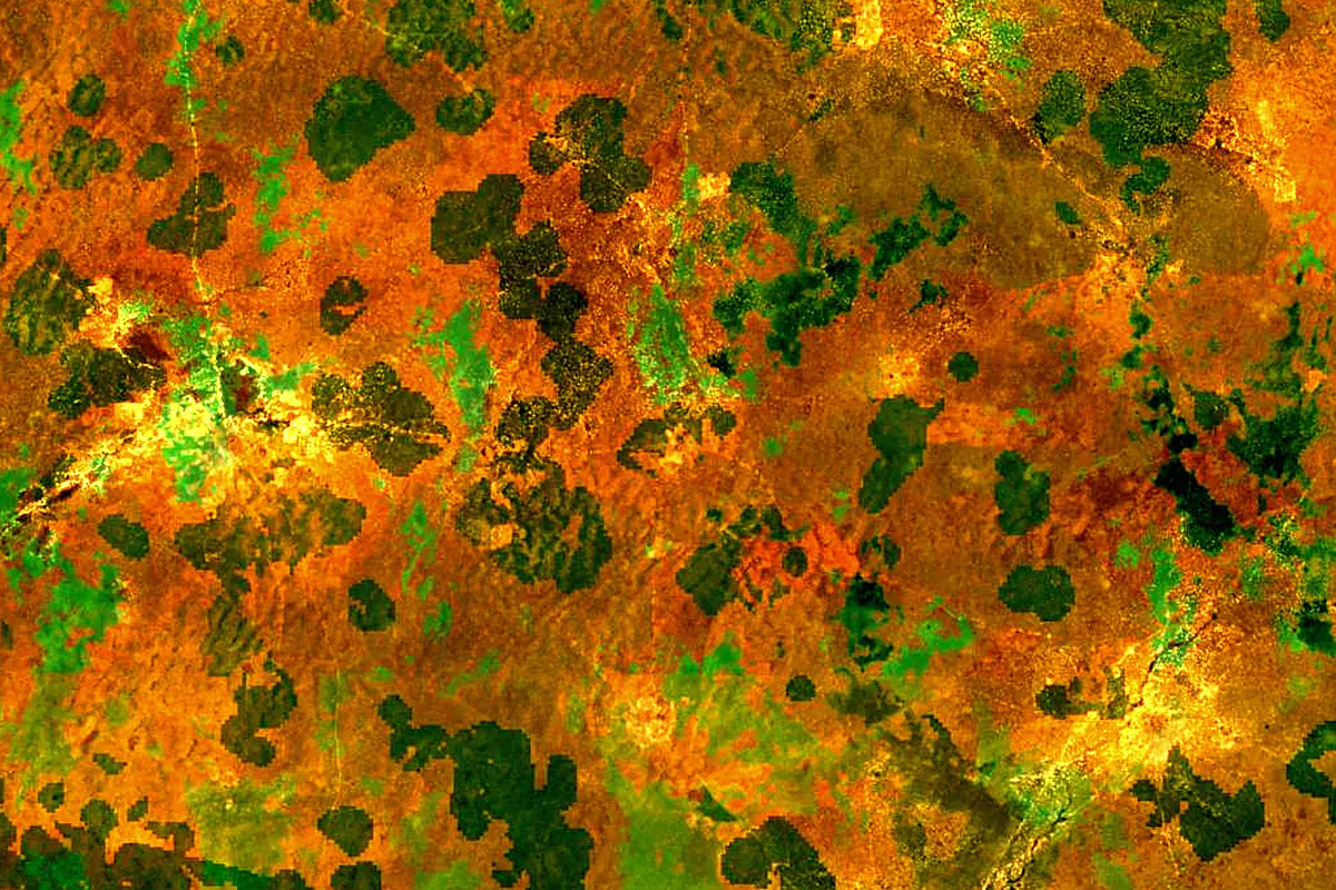 Saloum River: satellite view of the source