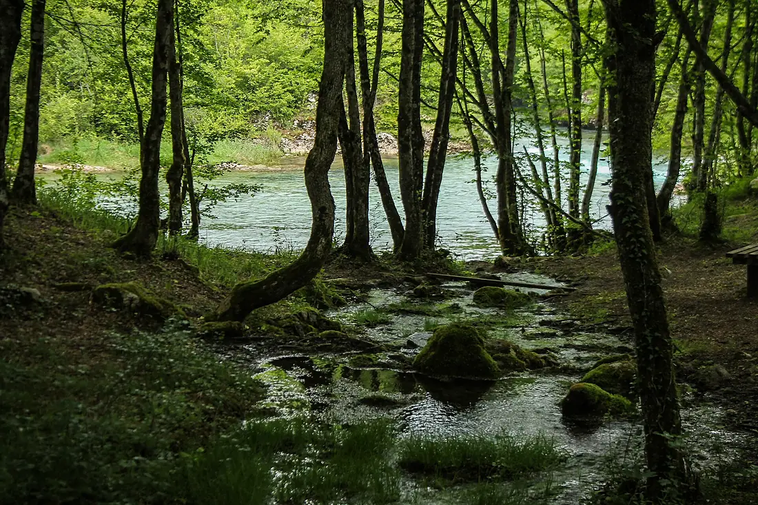 Park prirode Sana-gornji tok 1