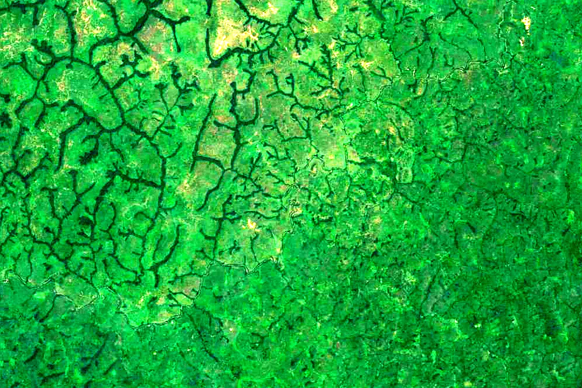 Sanaga: satellite view of the source