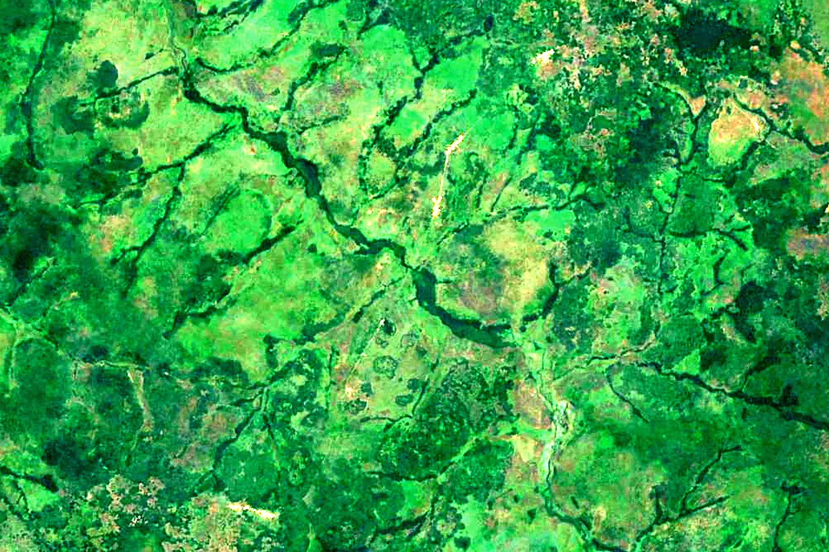 Sankuru River: satellite view of the source