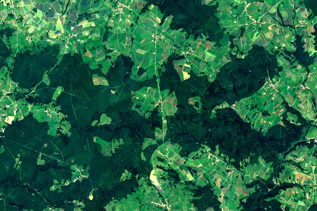 Saône: satellite view of the source