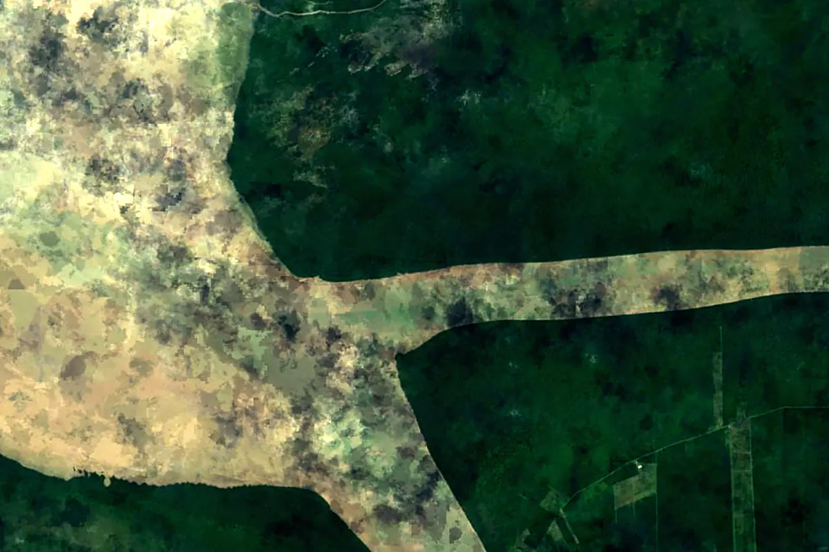 Saramacca River: satellite view of the mouth