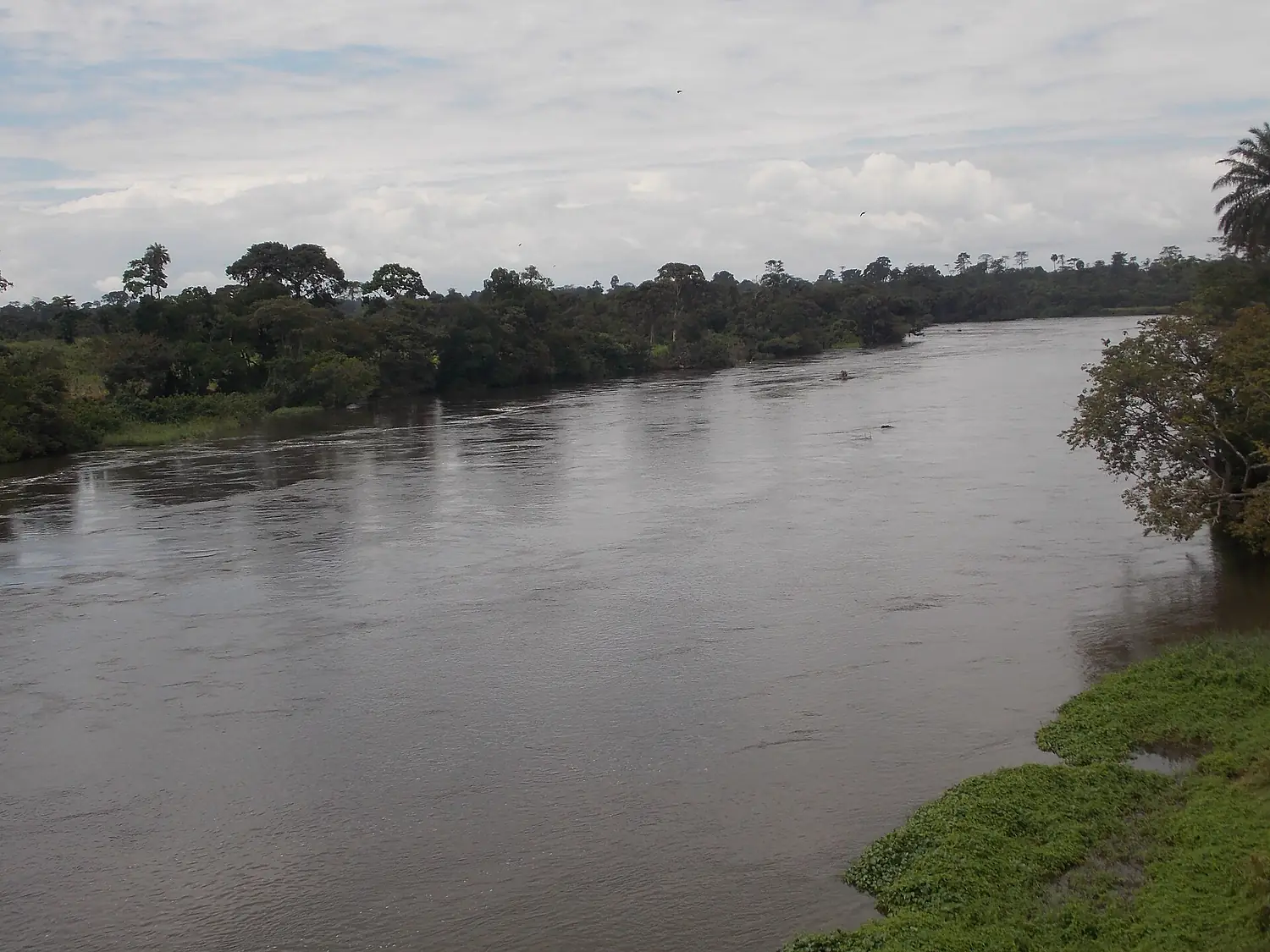 Fleuve Sassandra à Soubré 1