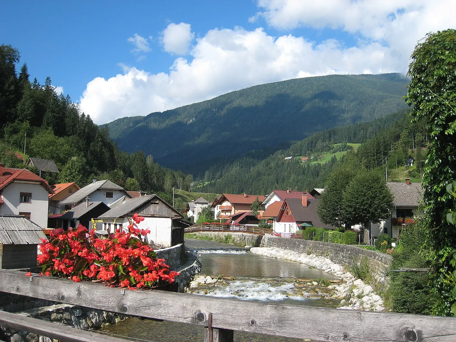 Luče Village and Savinja River Savinja and Šalek Valley Slovenia