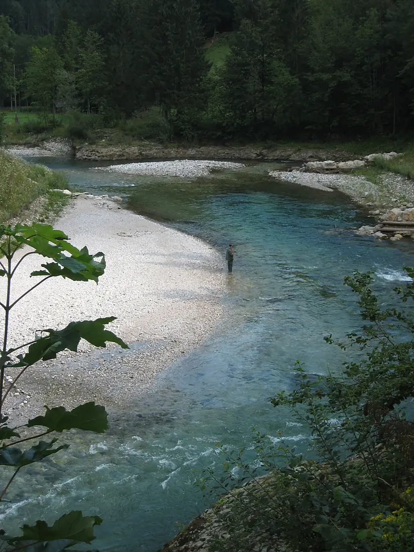 Fishing on Savinja River near Luce