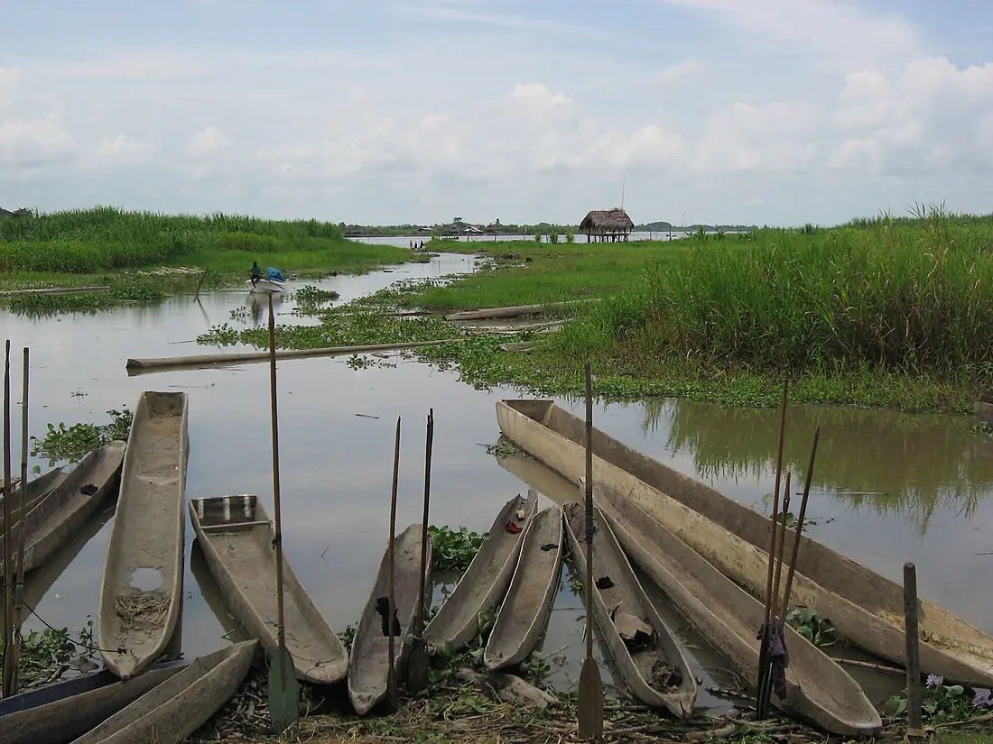 Sepik River IMG 2097
