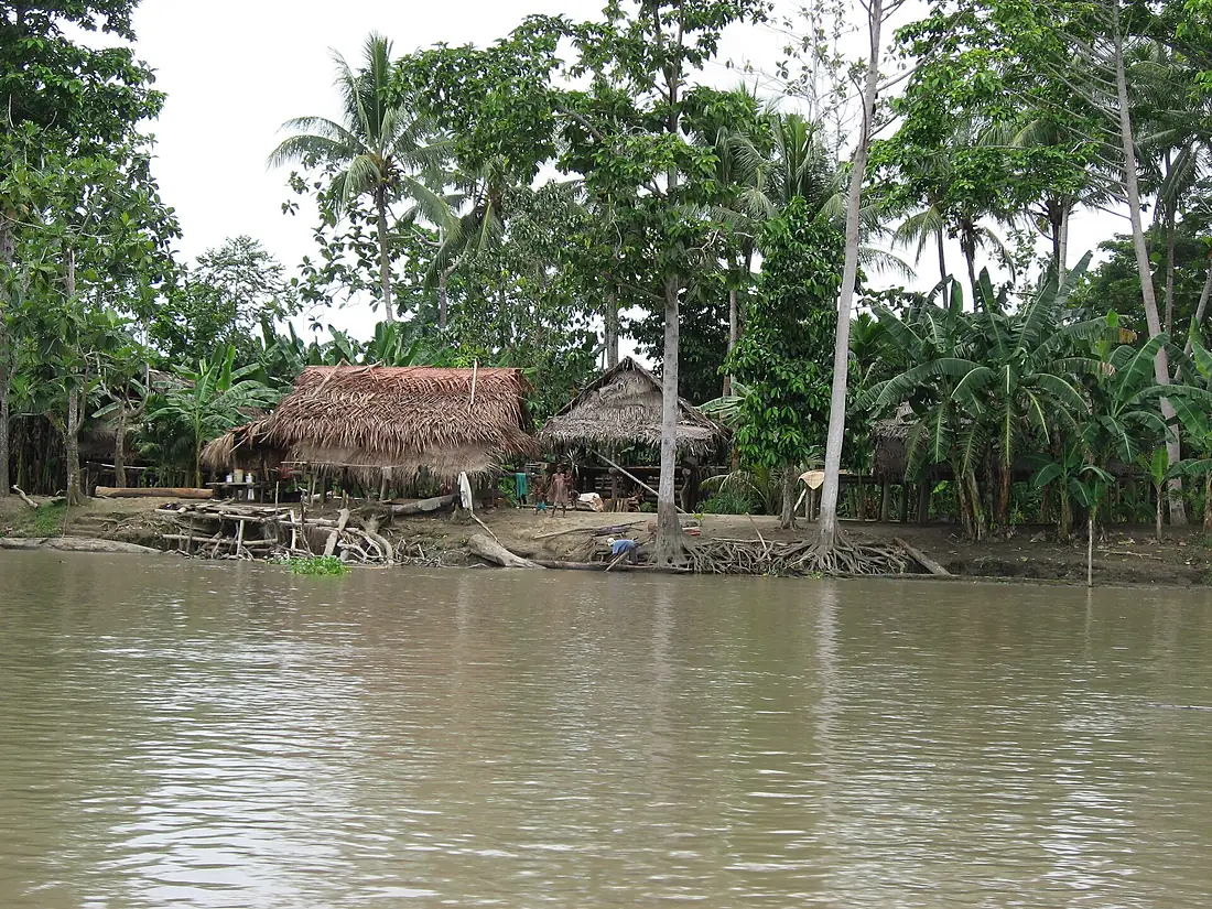 Sepik River IMG 2117
