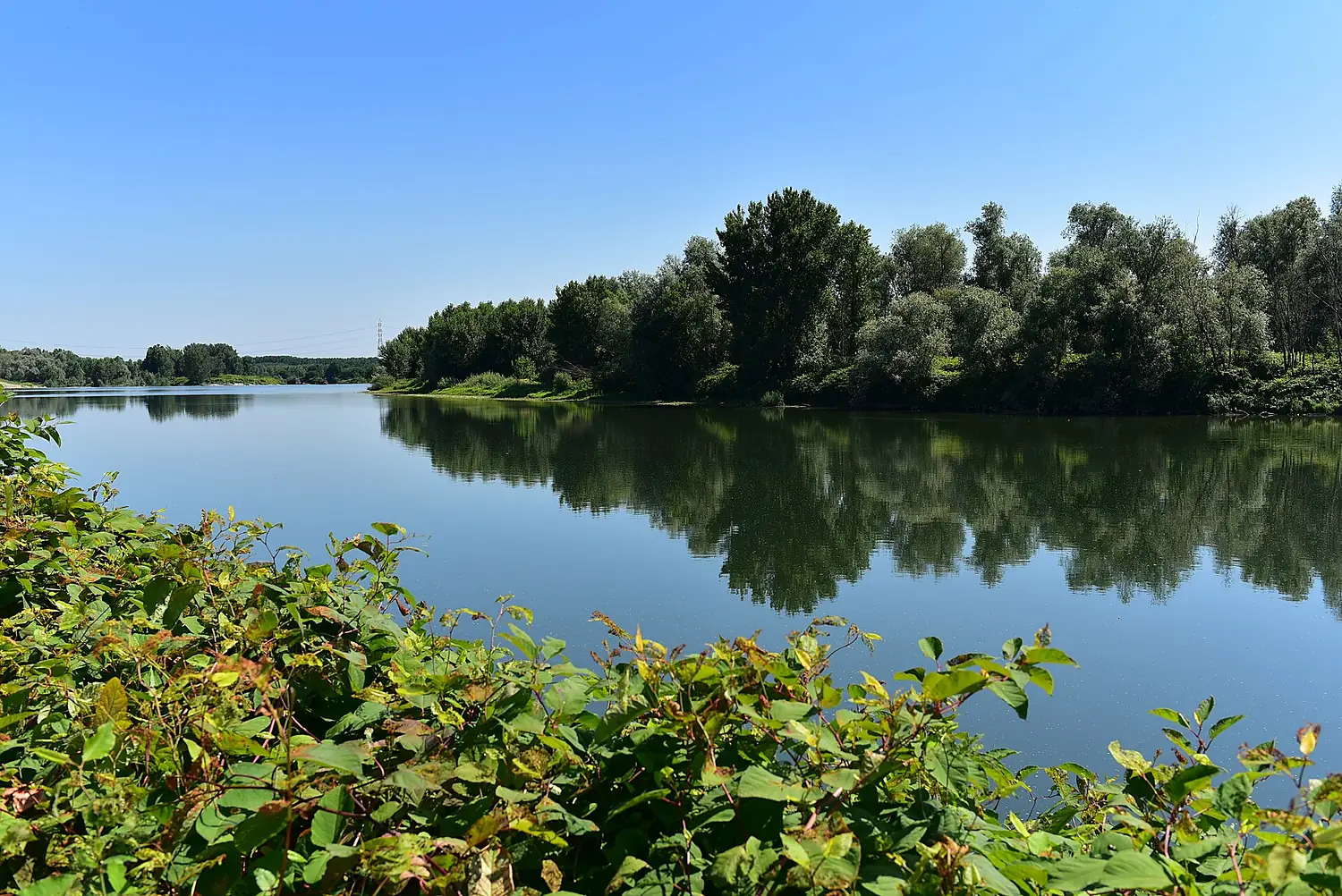 Il fiume Sesia in Lombardia nei pressi di Palestro