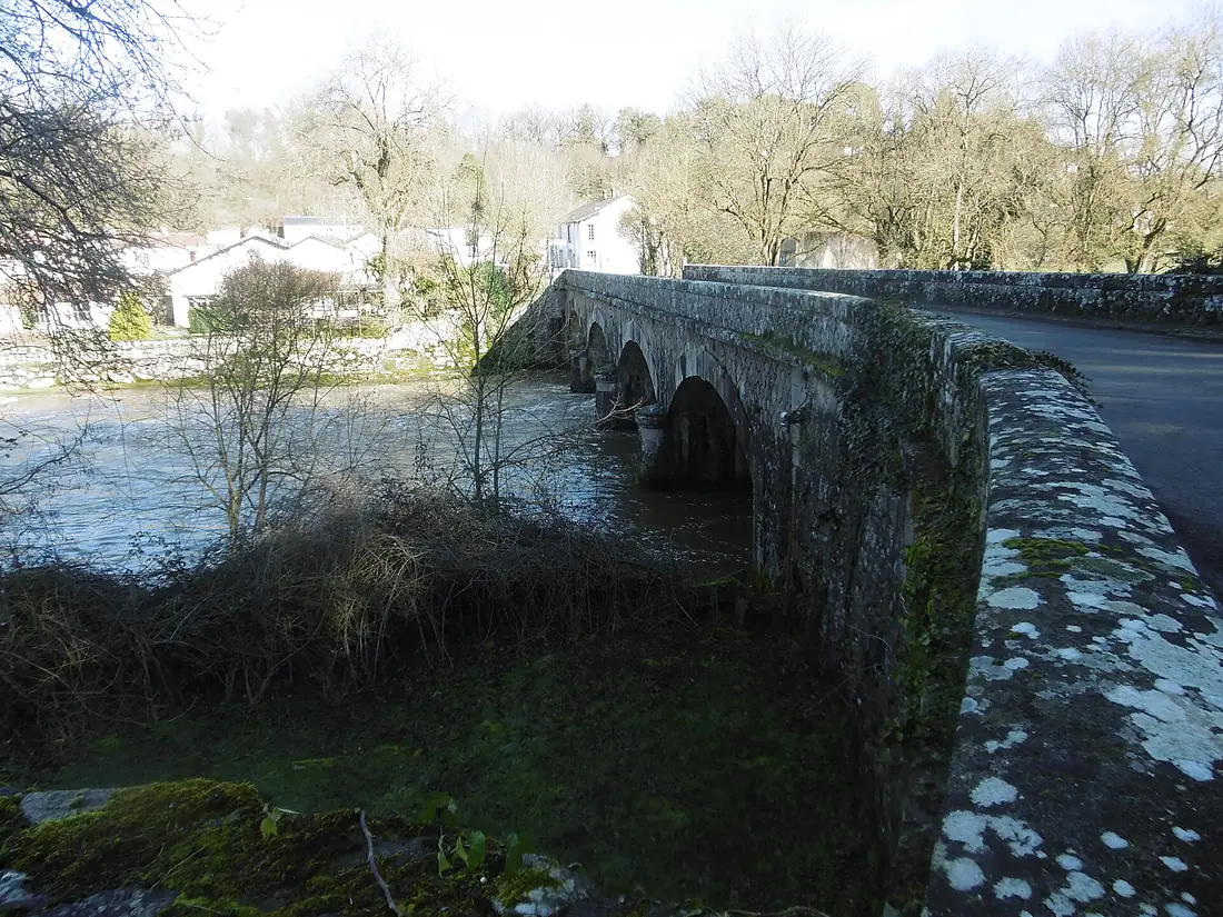 Pont sur la Sèvre Nantaise (Rochard)
