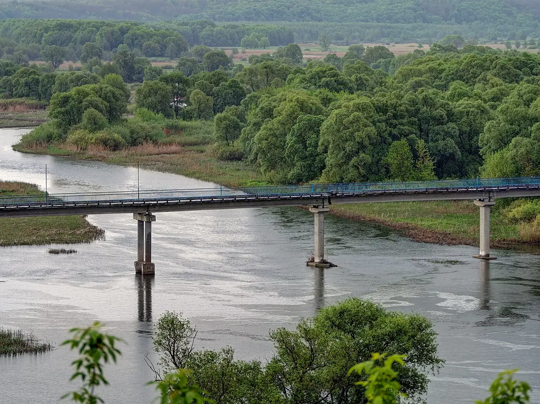 Rylsk. Seym River P5080397 2475