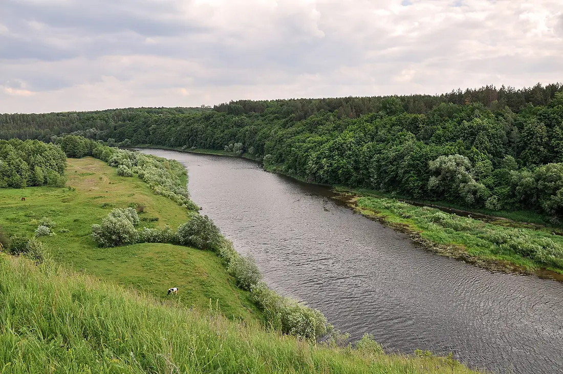 56-204-5016 RLP Nadsluchanskyi RB