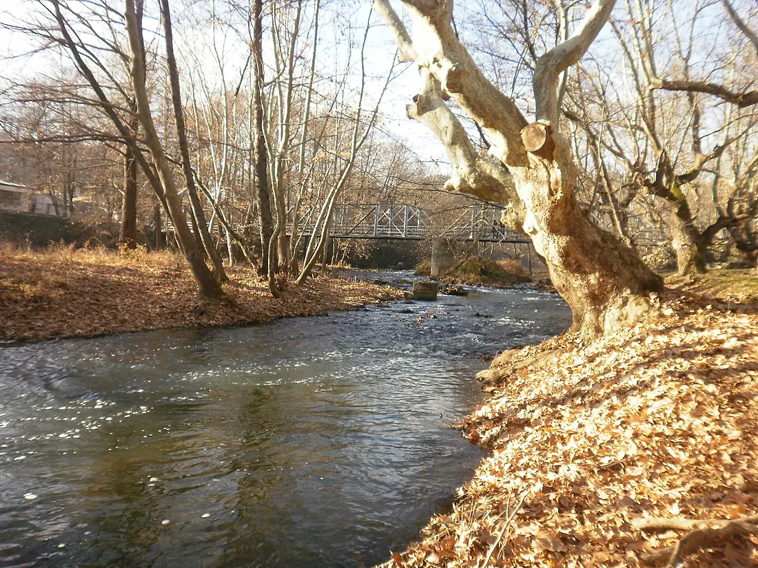 Strumeshnitsa river 2011, 02