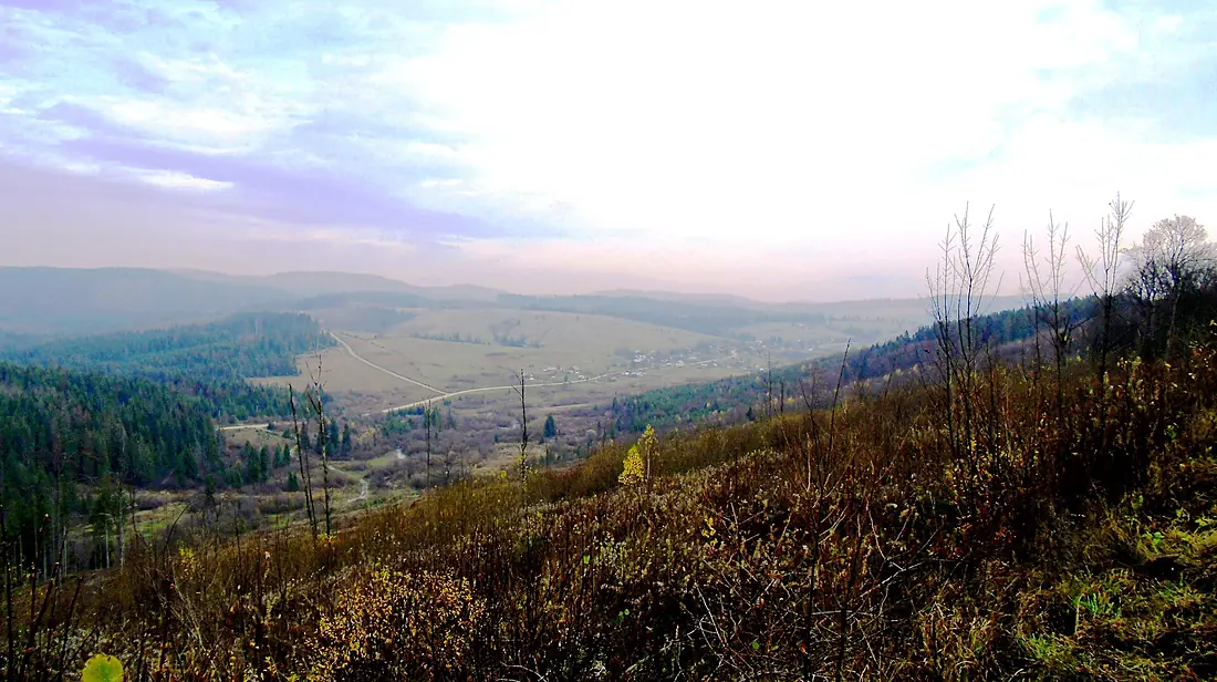 The upper reaches of the river Stryi.