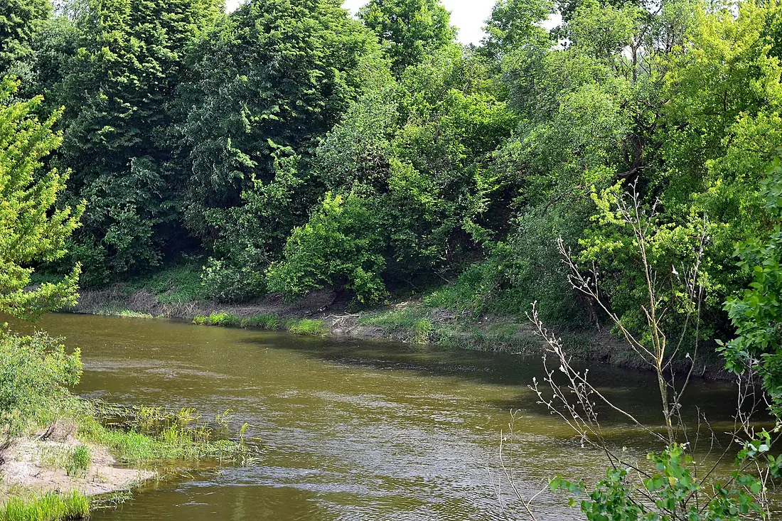 Rokyni Lutskyi Volynska-Styr river-view-3