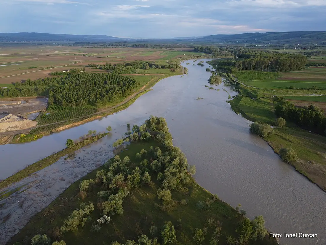 Confluența celor doua râuri, râul Suceava se varsă în râul Siret la Liteni, foto Ionel Curcan (2)