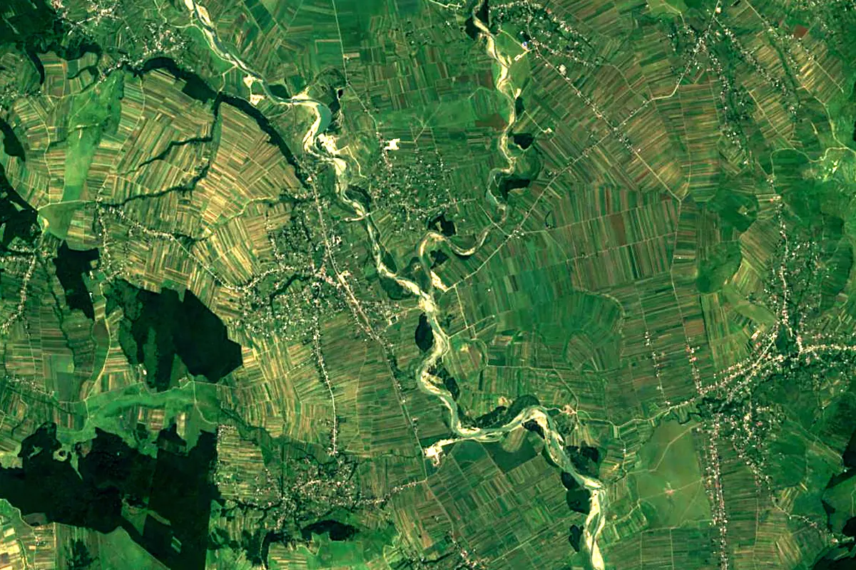 Suceava River: satellite view of the mouth