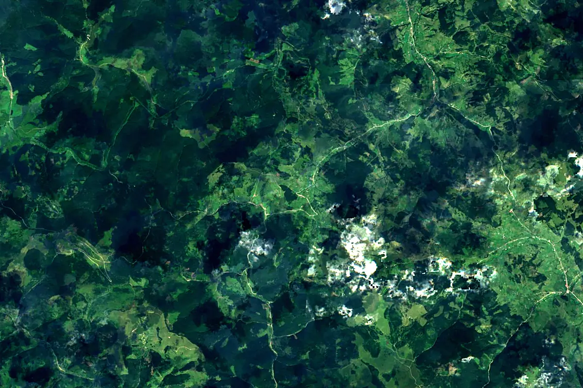 Suceava River: satellite view of the source