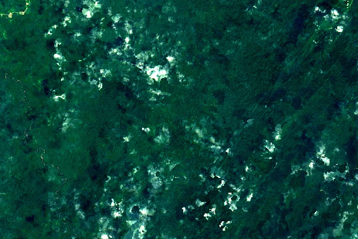 Sungai Belait: satellite view of the source