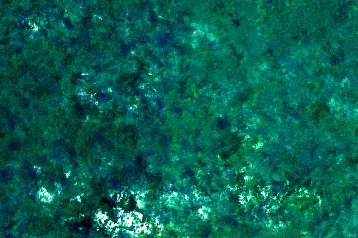 Suriname River: satellite view of the source