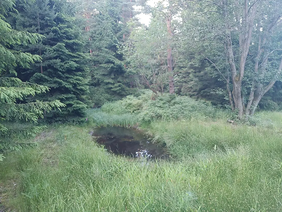 Svratka, tůně 02