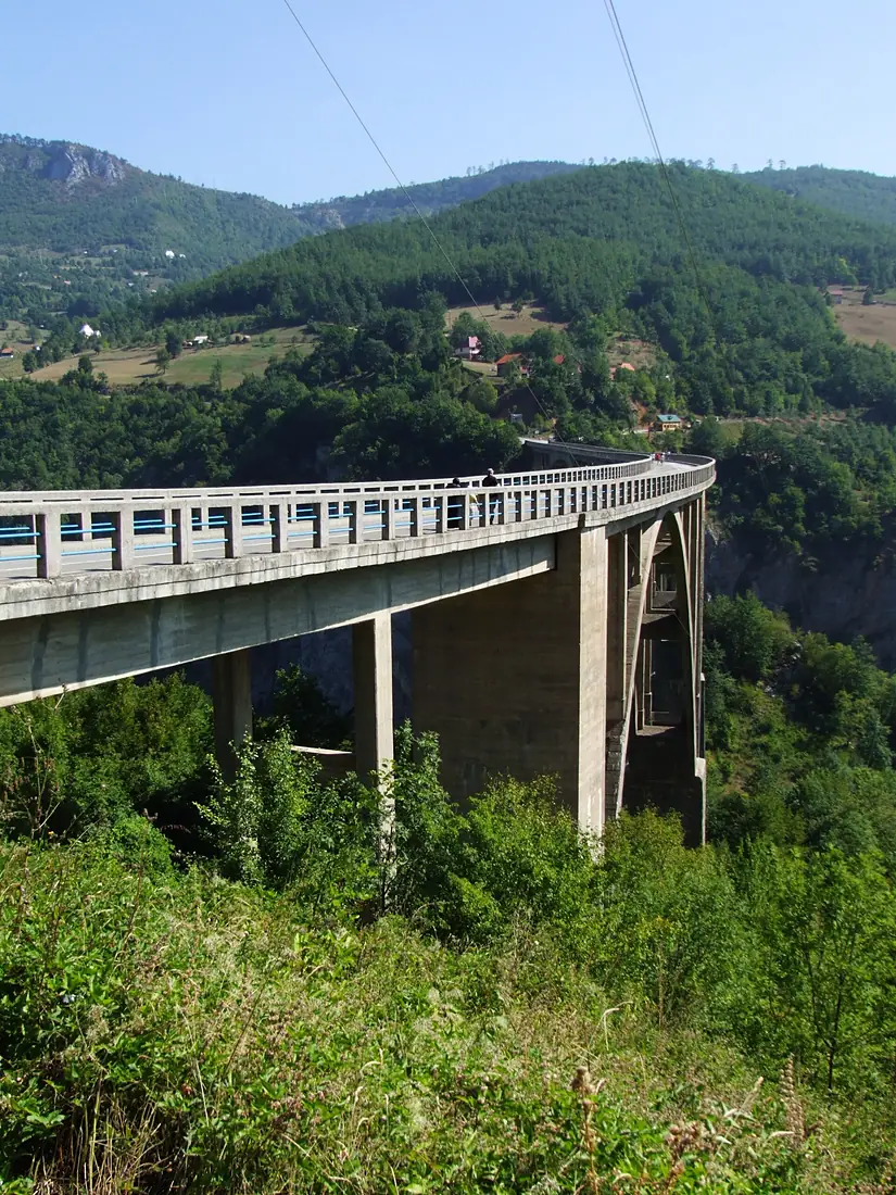 Đurđevića Tara Bridge (by Pudelek)