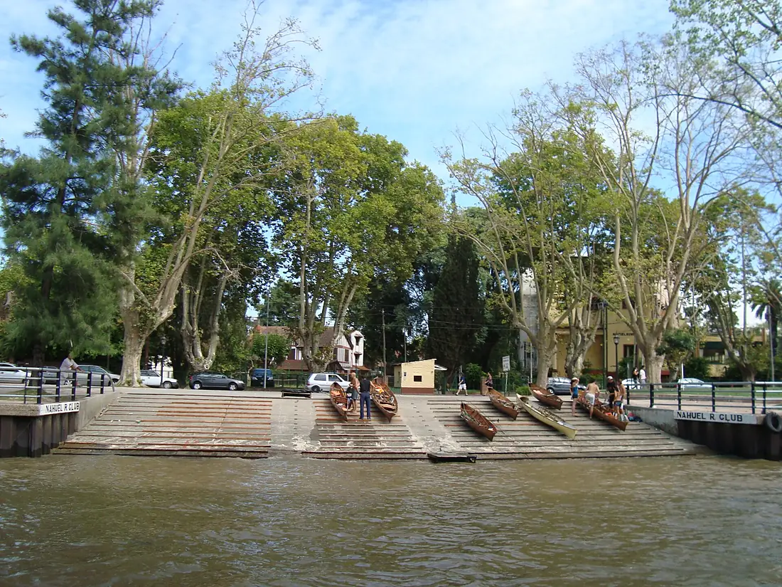 Argentina tigre