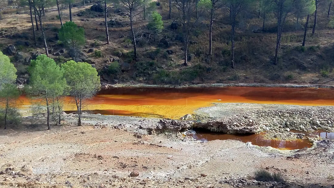 P71012-115351 ribera Rio Tinto (Huelva-Andalucía. Spain)