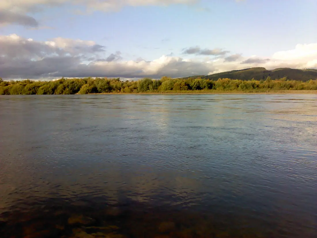 Panorámica río Toltén