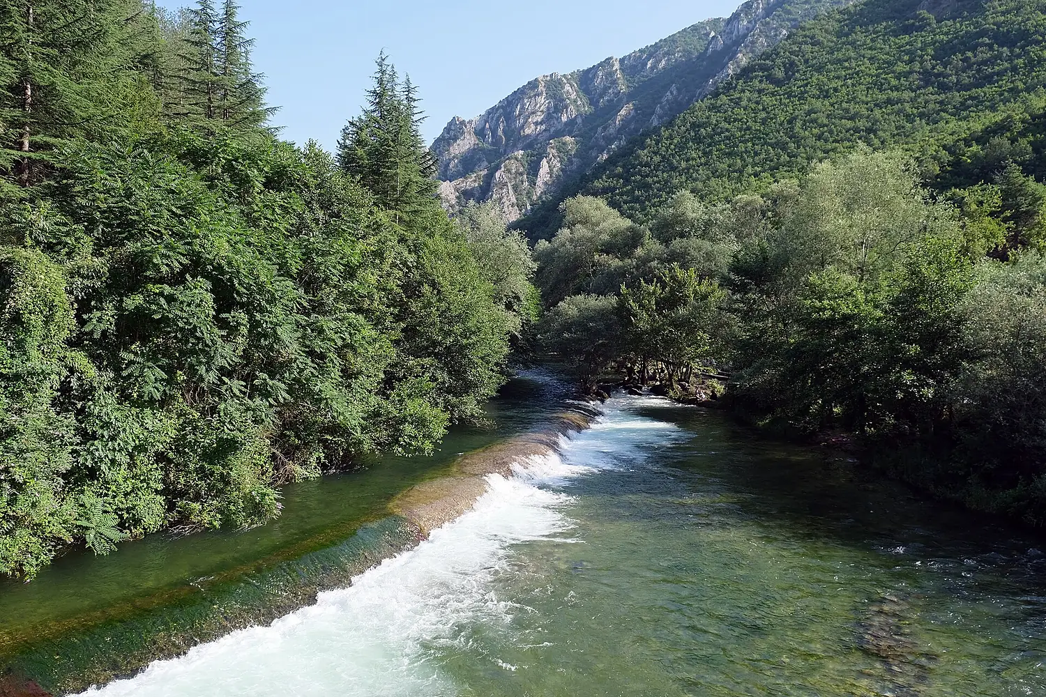 Treska Matka