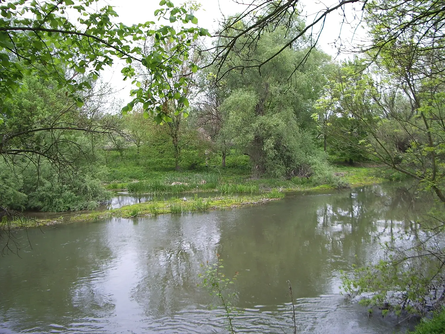 Tundzha River near Elhovo