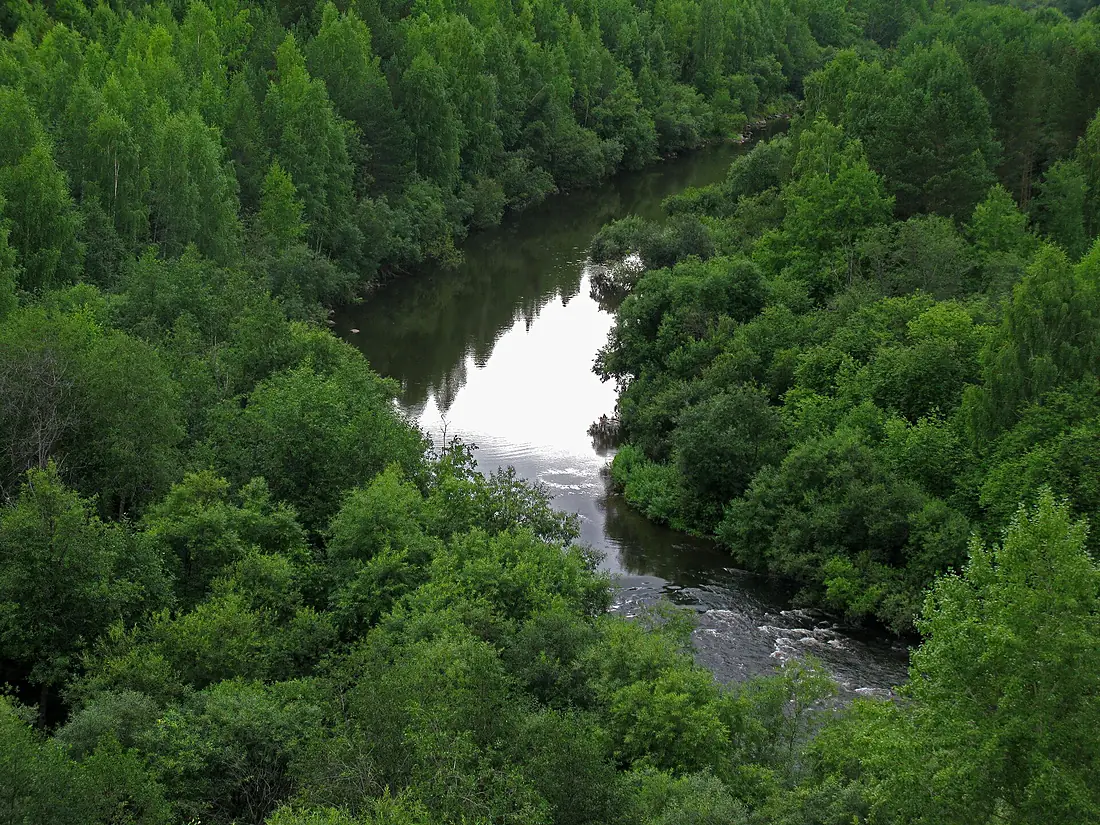 G. Nizhnyaya Tura, Sverdlovskaya oblast' Russia - panoramio - Oleg Seliverstov (32)