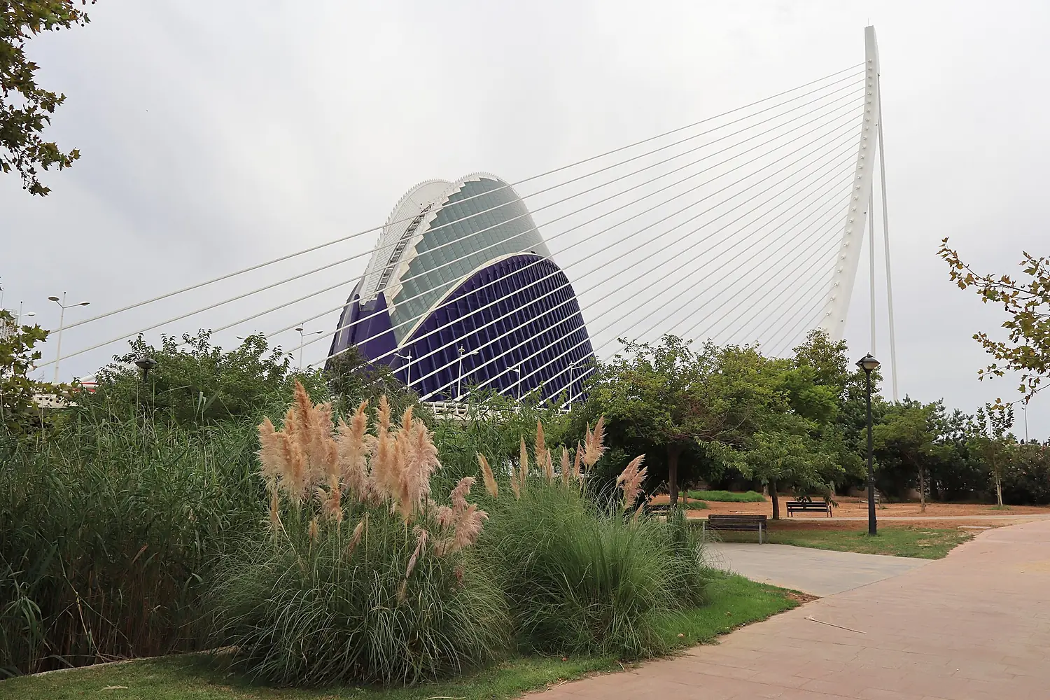 L'Àgora and Assut de l'Or bridge from the Turia gardens, Valencia