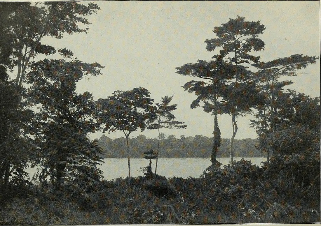 Bank of the Ubangi, East of Possel