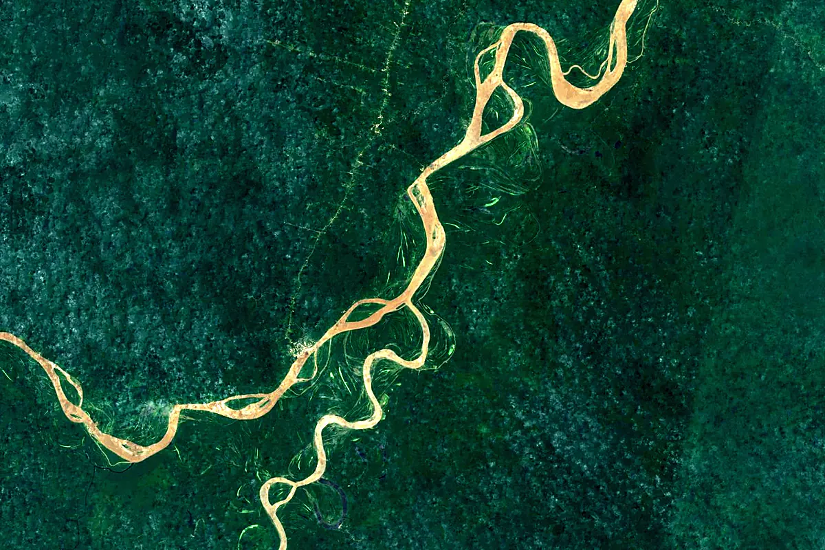Ucayali River: satellite view of the mouth