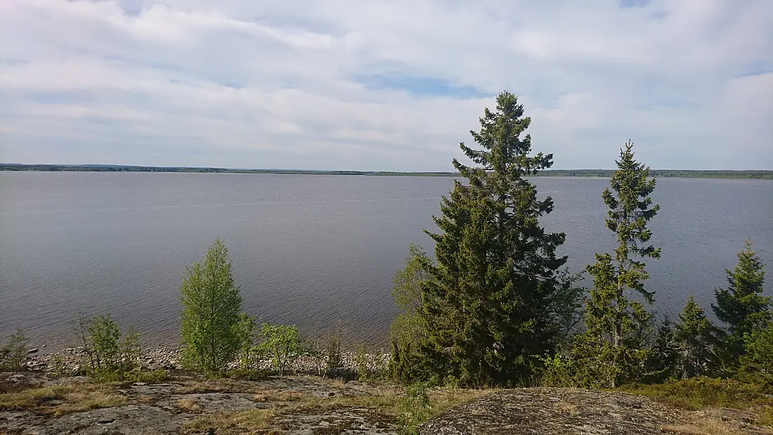 Umeälvens delta2 (1)