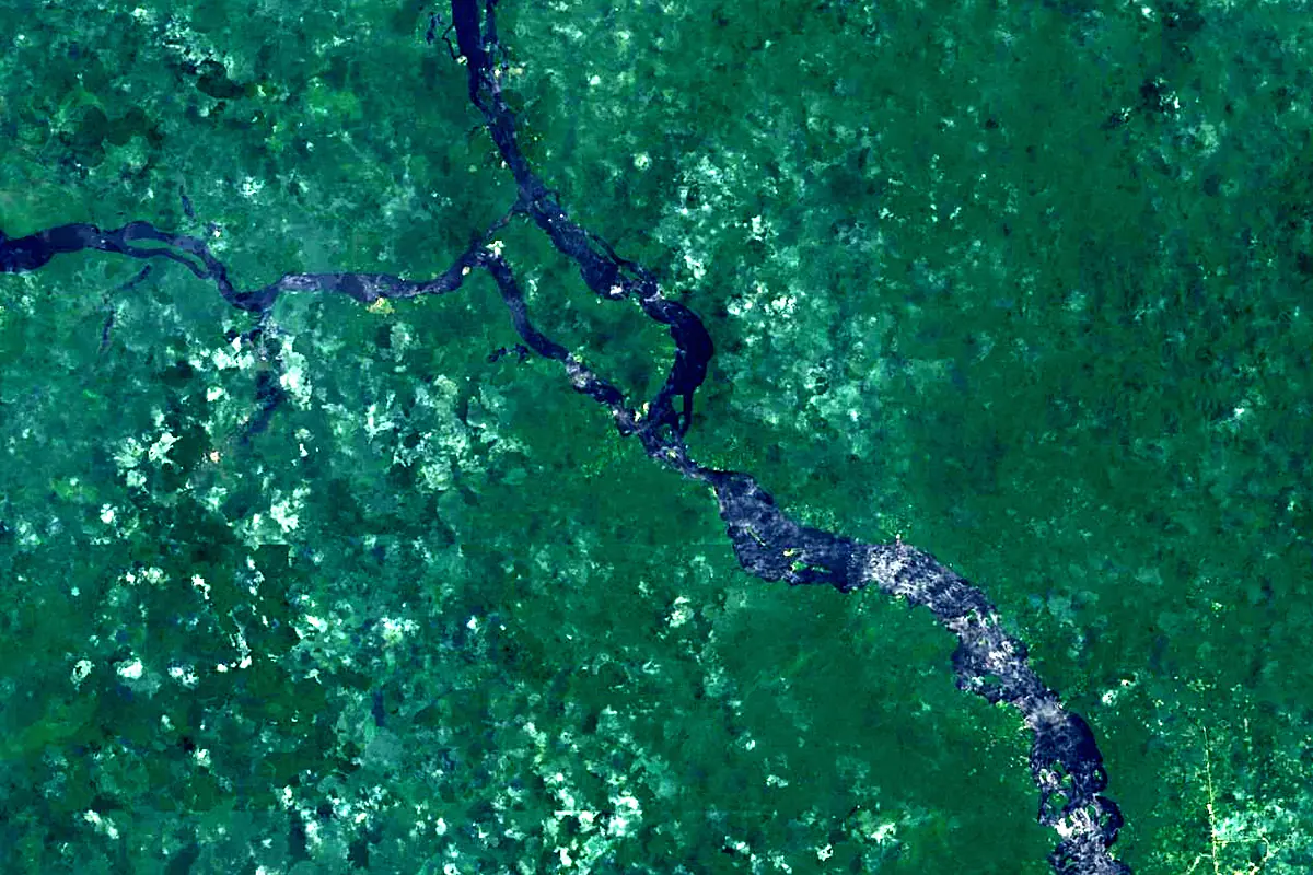 Vaupés River: satellite view of the mouth